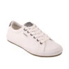 Taos Footwear Women's Star Burst - White / Pewter
