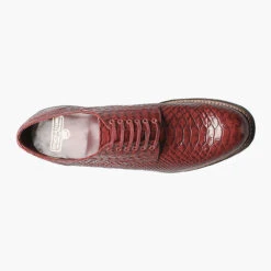 Stacy Adams Men's Madison Plain Toe Oxford - Red Anaconda -Shoe Promotion Store 33 13254.1708366237