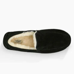 UGG Men's Ascot - Black Suede -Shoe Promotion Store ascot blk suede 5 36700.1614964207